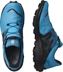 Herren Laufschuhe Salomon  Wildcross 2 GTX Barrier Reef