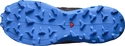 Herren Laufschuhe Salomon  Wildcross 2 Palace Blue