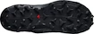 Herren Laufschuhe Salomon  Wildcross