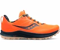 Herren Laufschuhe Saucony  Peregrine 12 Campfire Stories