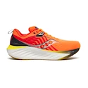 Herren Laufschuhe Saucony  Triumph 22 Spice/Canary