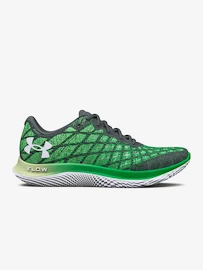 Herren Laufschuhe Under Armour FLOW Velociti Wind 2-GRY