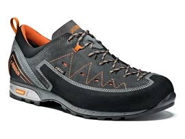 Herren-Outdoorschuhe Asolo Apex GV MM