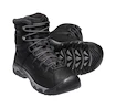 Herren-Outdoorschuhe Keen Targhee Lace Boot High Polar Wp Black/Raven