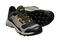 Herren-Outdoorschuhe Keen Tempo Flex Wp Vetiver/Desert Sun