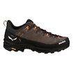 Herren-Outdoorschuhe Salewa  Alp Trainer 2 Bungee Cord/Black  UK 9,5