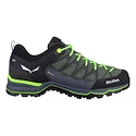 Herren-Outdoorschuhe Salewa  MS MTN Trainer Lite Gtx Myrtle/Ombre Blue