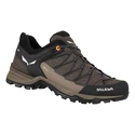 Herren-Outdoorschuhe Salewa  MS MTN Trainer Lite Gtx  Wallnut/Fluo Orange