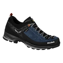 Herren-Outdoorschuhe Salewa  MTN Trainer 2 GTX Blue Seal/Black   UK 10,5