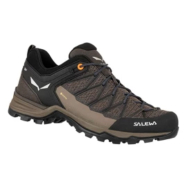 Herren-Outdoorschuhe Salewa MTN Trainer Lite GTX