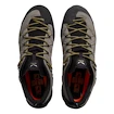 Herren-Outdoorschuhe Salewa  Wildfire 2 Gtx M Bungee Cord/Black