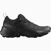 Herren-Outdoorschuhe Salomon  CROSS HIKE GTX 2