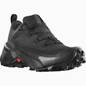 Herren-Outdoorschuhe Salomon  CROSS HIKE GTX 2