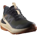 Herren-Outdoorschuhe Salomon Elixir Activ Gore-Tex Phantom/Safari/Caramel Cafe