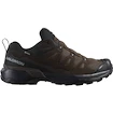 Herren-Outdoorschuhe Salomon X Ultra 360 Leather Gore-Tex Dark Earth/Delicioso/Sharkskin  UK 8,5