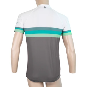 Herren Radtrikot Sensor  Cyklo Summer Stripe Grey/Green