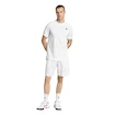 Herren Shorts adidas  Club Graphic Short White/Grey