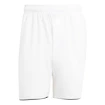 Herren Shorts adidas  Club Short White