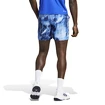 Herren Shorts adidas  Melbourne Ergo Tennis Graphic Shorts Blue