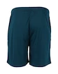 Herren Shorts FZ Forza  Landos M Shorts Poseidon