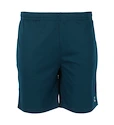 Herren Shorts FZ Forza  Landos M Shorts Poseidon L