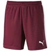 Herren Shorts Puma  Pitch