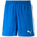 Herren Shorts Puma  Pitch