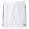 Herren Shorts Puma  Pitch