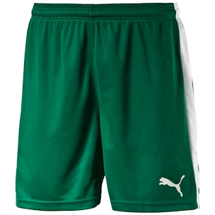 Herren Shorts Puma  Pitch  weiß und grün, L