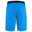 Herren Shorts Salewa  Puez 3 DST Cloisonne