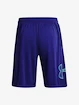 Herren Shorts Under Armour