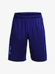 Herren Shorts Under Armour