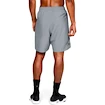 Herren Shorts Under Armour