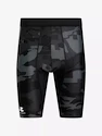 Herren Shorts Under Armour