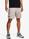 Herren Shorts Under Armour