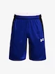 Herren Shorts Under Armour  BASELINE 10'' SHORT-BLU