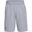 Herren Shorts Under Armour  COTTON BIG LOGO SHORTS gray