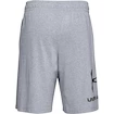 Herren Shorts Under Armour  COTTON BIG LOGO SHORTS gray