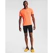 Herren Shorts Under Armour  Fly Fast HG Half Tight black