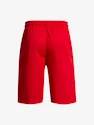 Herren Shorts Under Armour  PERIMETER 11'' SHORT-RED