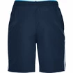 Herren Shorts Under Armour  Qualifier WG Perf Short