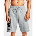 Herren Shorts Under Armour  Rival FLC Big Logo Shorts gray