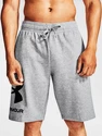 Herren Shorts Under Armour  Rival FLC Big Logo Shorts gray