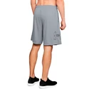 Herren Shorts Under Armour  Tech Graphic Short Grey