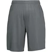 Herren Shorts Under Armour  Tech Mesh Shorts gray