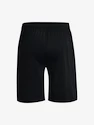 Herren Shorts Under Armour  Tech Vent Short-BLK