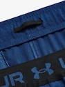 Herren Shorts Under Armour  Vanish Woven 6in Shorts-BLU