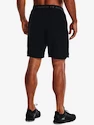 Herren Shorts Under Armour  Vanish Woven 8in Shorts-BLK