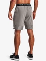 Herren Shorts Under Armour  Vanish Woven 8in Shorts-GRY