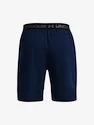 Herren Shorts Under Armour  Vanish Woven 8in Shorts-NVY